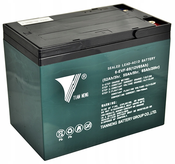 BATÉRIA ELEKTRICKÝ VOZÍK EPT20-15ET2 65Ah