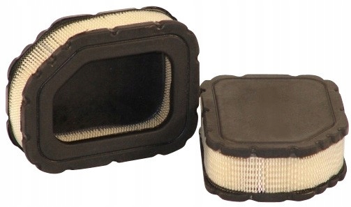 Vzduchový filter SA12399 pre Toro