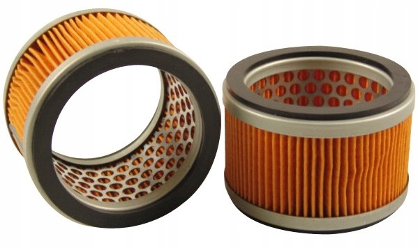 Vzduchový filter SA12866 pre Mikasa