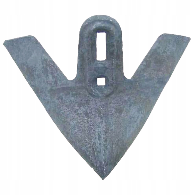 Husacia noha