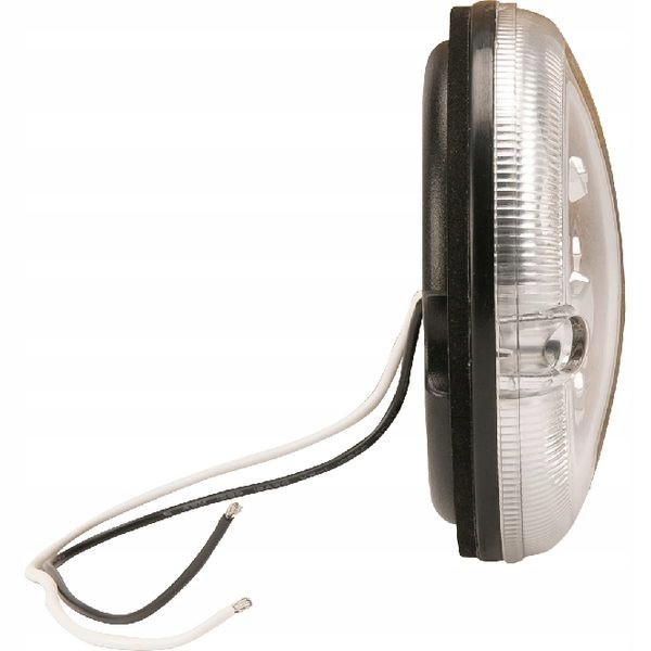 LED spätné svetlo, 12 / 24V