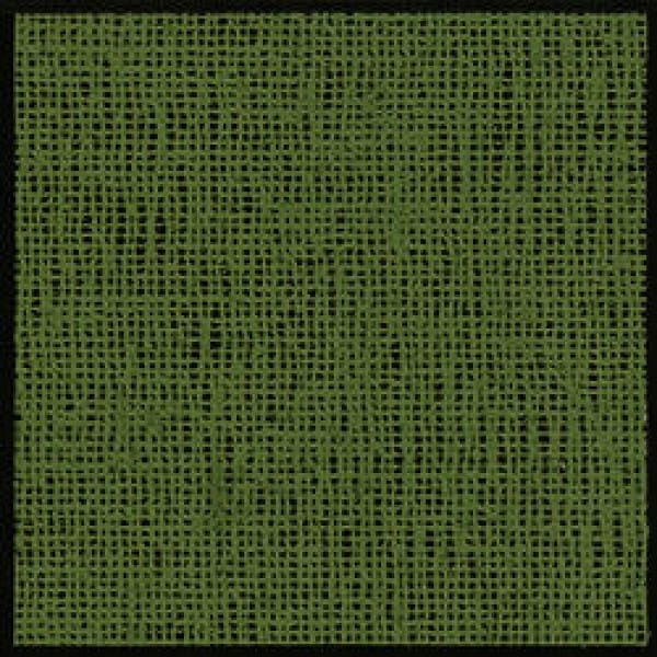 Markíza 250x400 cm Aero-Tex zelená