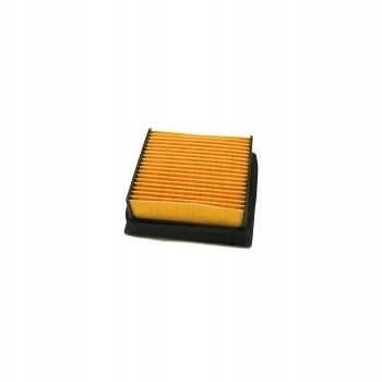 PA76250 Vzduchový filter
