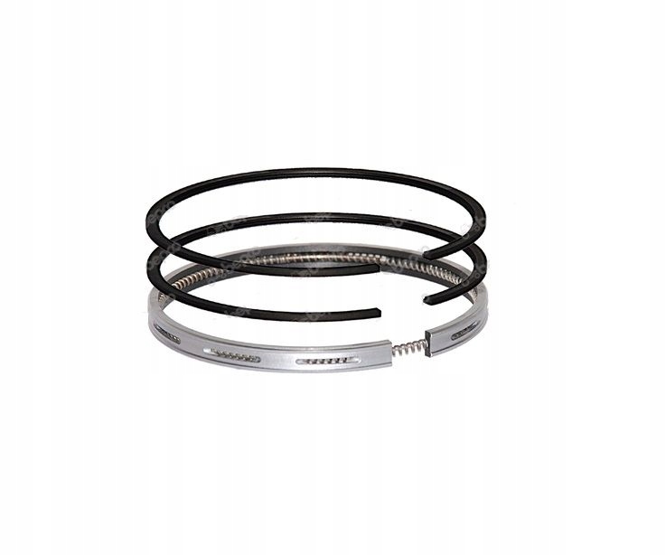 Prstene Massey Ferguson 1004 698 746163M91