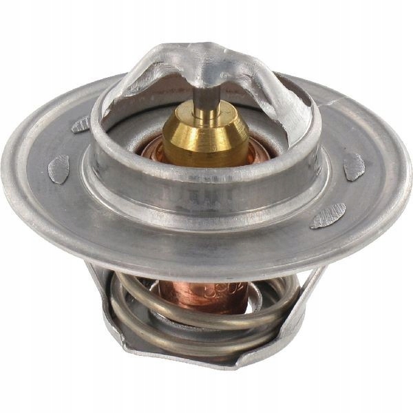 Termostat MF V836015156