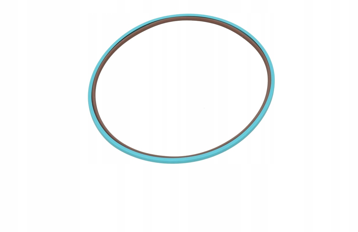 Tesnenie spojky New Holland CASE 5172413