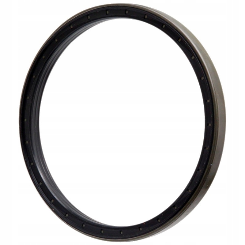 Tesnenie brzdy New Holland 87309584